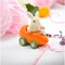 kevinsgiftshoppe Ceramic Bunny Rabbit In Carrot Racecar Salt And Pepper Shakers Home Decor  Kitchen Decor Spring or Easter Decor